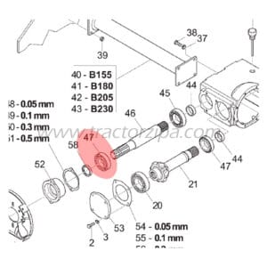 diagrama rotovo maschio